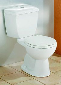problems that can occur with toilets